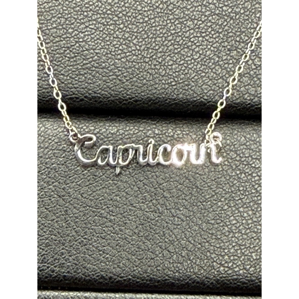 EUC 18" Sterling Silver Capricorn Necklace Zodiac 925 J16